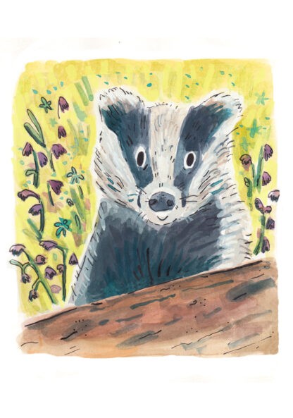 Badger and Hedgehog Pack of 6 Blank Greetings Cards - Image 2
