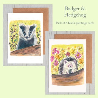 Badger and Hedgehog Pack of 6 Blank Greetings Cards